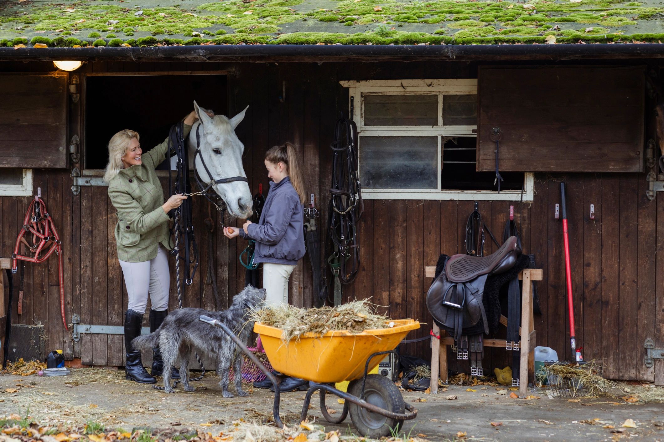 horse bridle hook stable